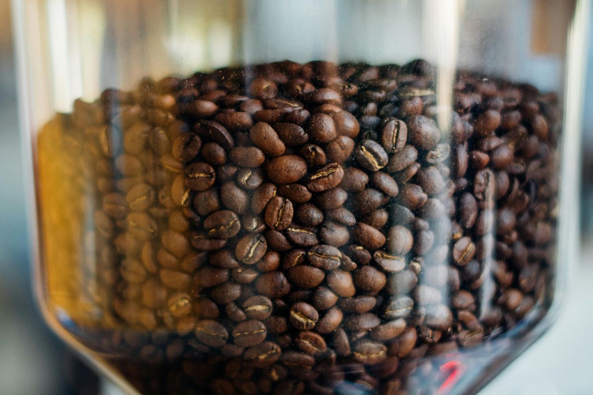 Granos de café enteros. Foto de Pexels.