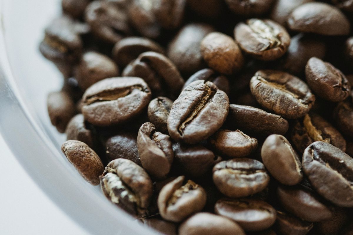 ¿Por qué es tan importante conocer el nivel de tostado del café?