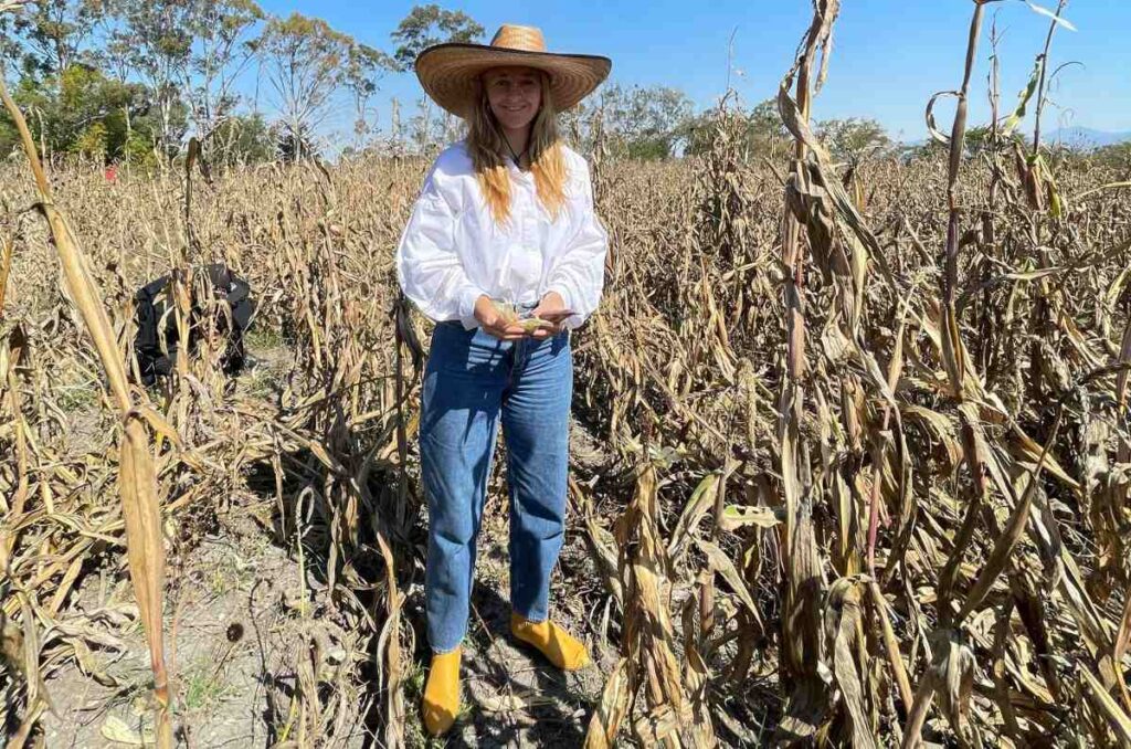 Tradición del Comal