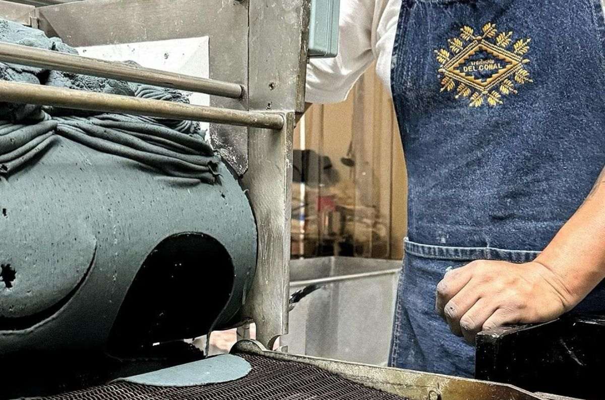 Tradición del Comal: rescatando el maíz criollo una tortilla a la vez