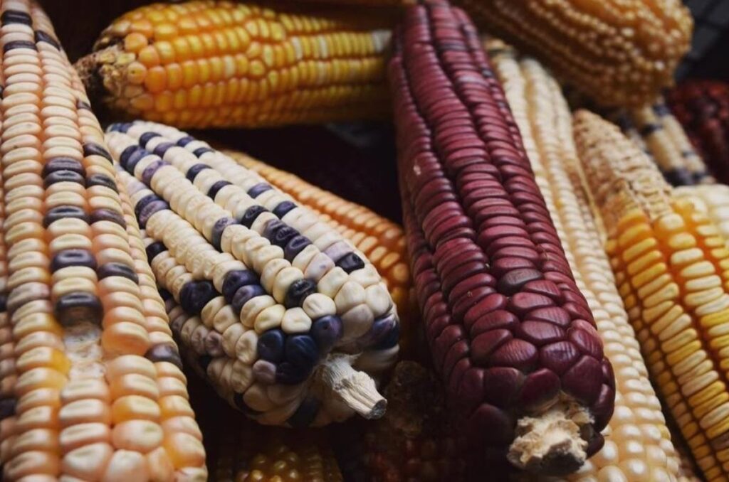 Tradición del Comal