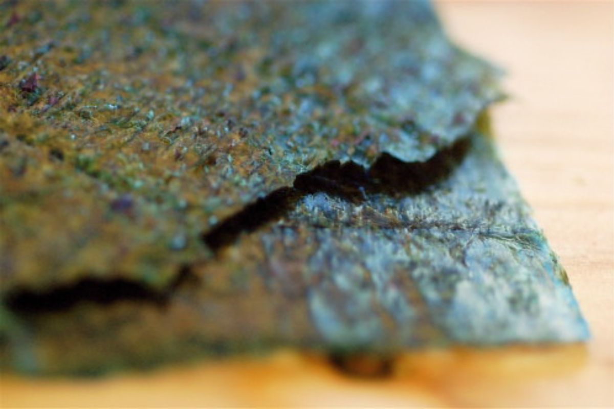 Alga nori fresca. Foto de Pexels.