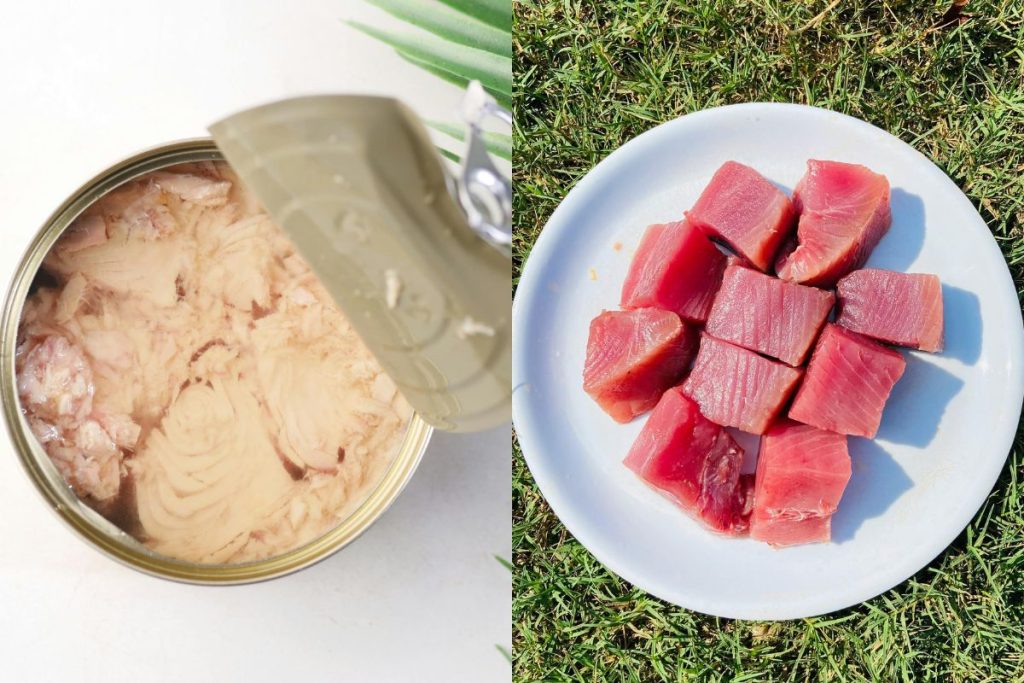 Atún fresco vs de lata: cómo aprovechar cada uno en la cocina en casa