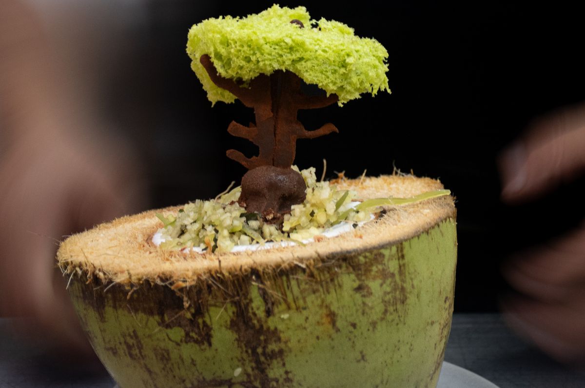 Postre Corazón de Ya'ax ché y Chocolate del chef Salgado, foto proporcionada por el hotel