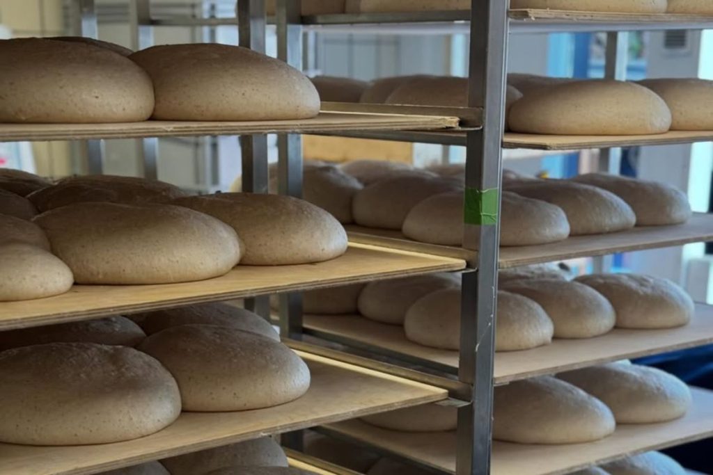 Green Rhino es una nueva panadería en CDMX donde la especialidad es la masa madre.