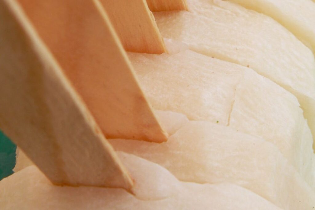 Las jicaletas son un snack mexicano que para disfrutar de fruta fresca.
