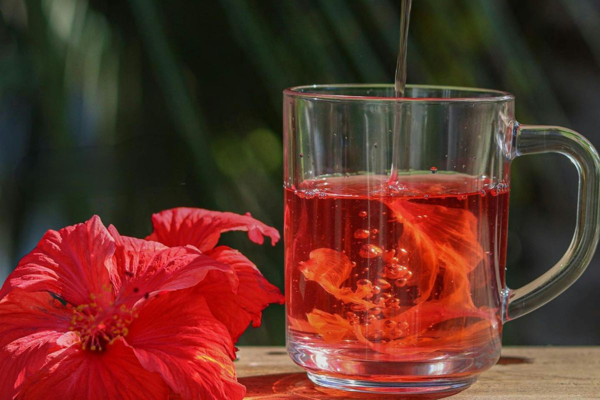 Té recién hecho. Foto de Pexels.