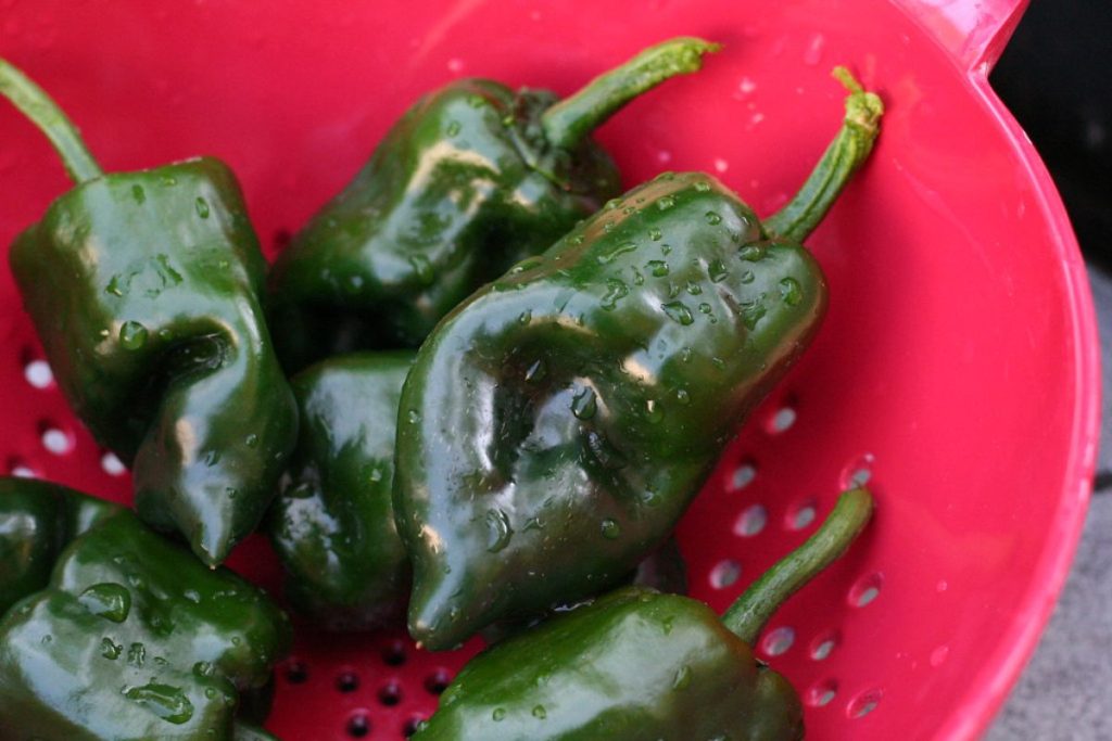 Los chiles rellenos se deben pelar para lograr un platillo limpio.