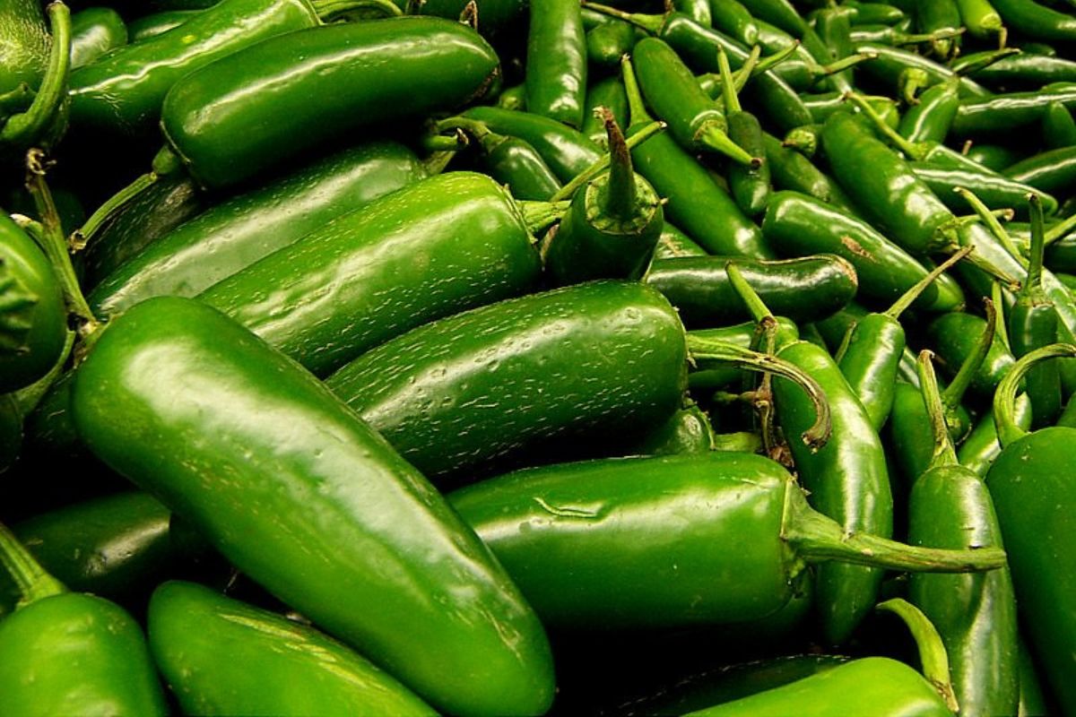 Chiles frescos. Foto de Pexels.