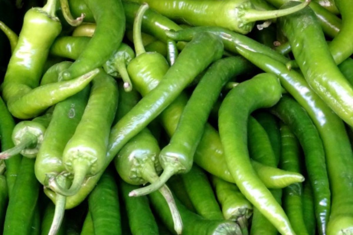 Chiles frescos. Foto de Pexels.