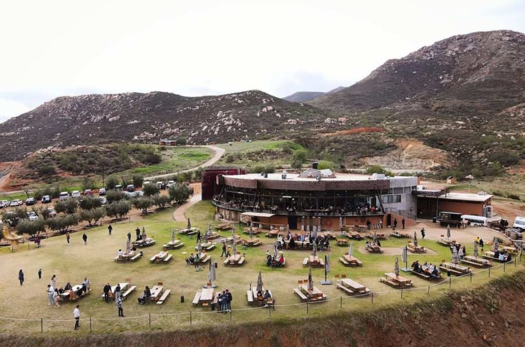 Decantos celebra 10 años de vino en Baja California