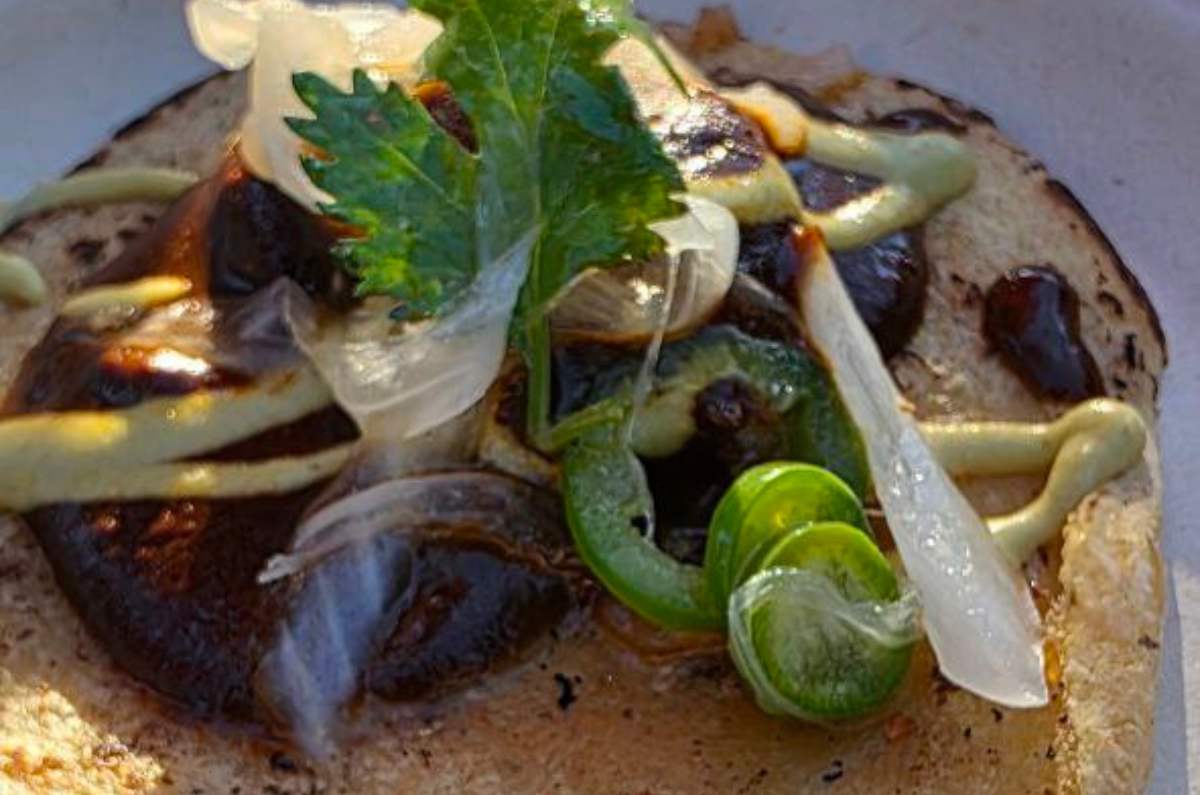 Decantos celebra 10 años de vino en Baja California 4