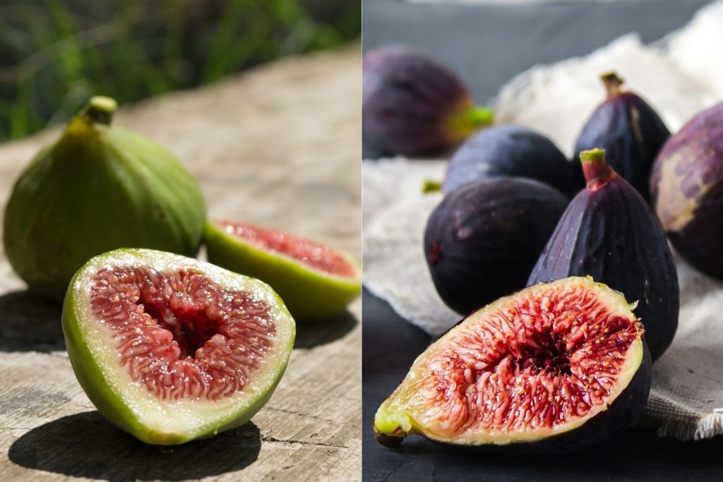Características que marcan la diferencia entre los higos y las brevas