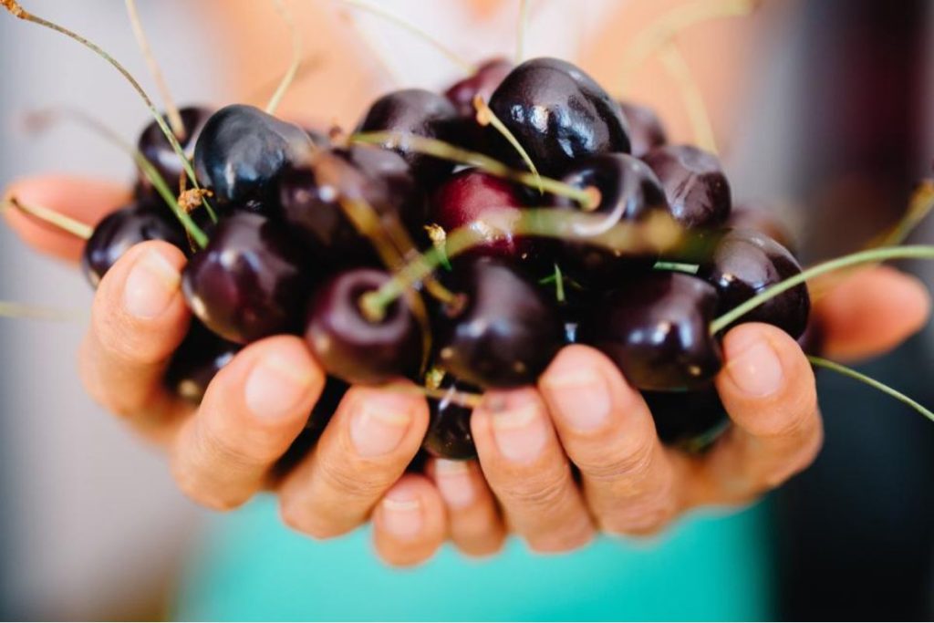 Cereza negra, la falsa baya que concentra grandes propiedades
