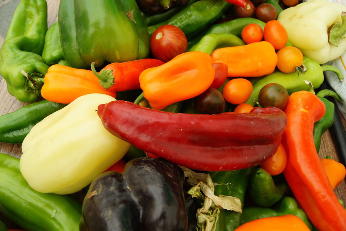 Vegetales frescos. Foto de Pexels.