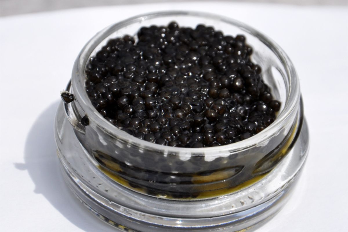 Caviar fresco. Foto de Pexels.