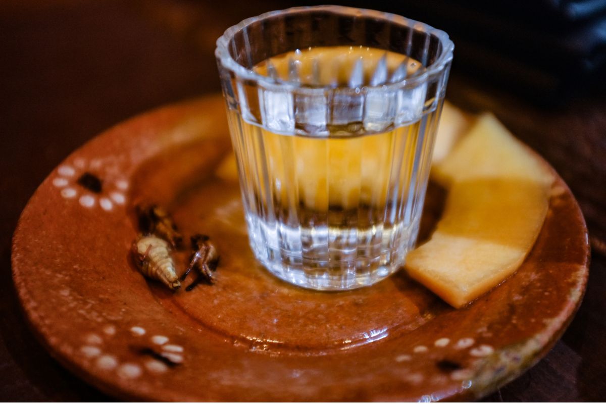 Degustación de mezcal. Foto de Pexels. 