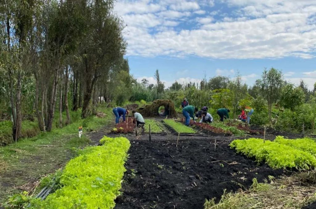 Escuela Campesina Xochimilco impulsa la agroecología urbana