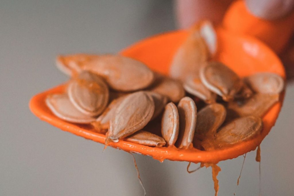 Las semillas de calabaza son completamente comestibles y versátiles.