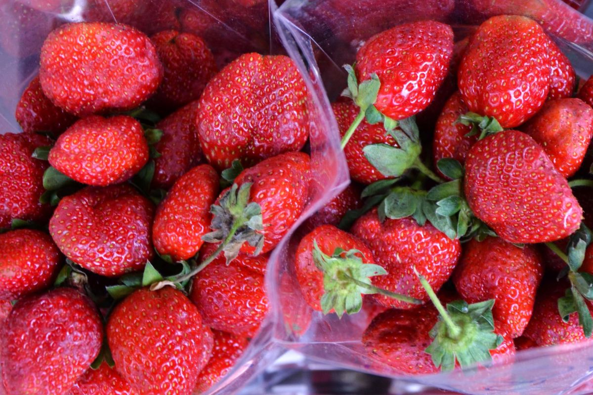 Fresas frescas. Foto de Pexels.