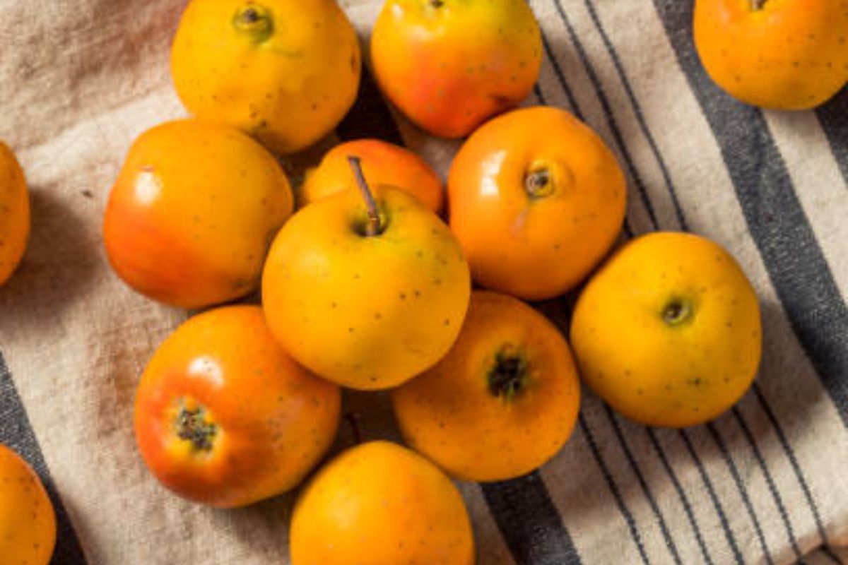 Tejocotes maduros. Foto de Flickr.