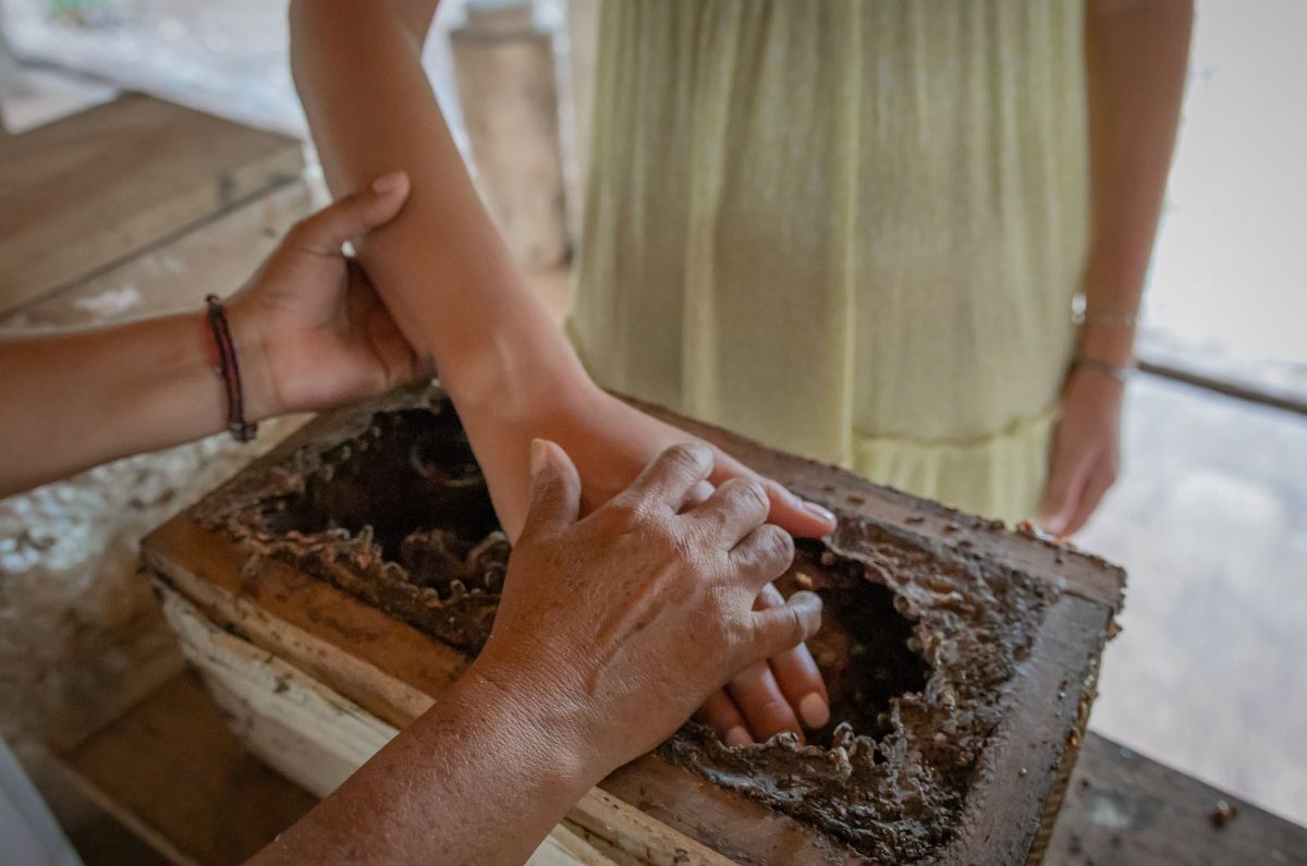 Meliponario, foto proporcionada por el hotel