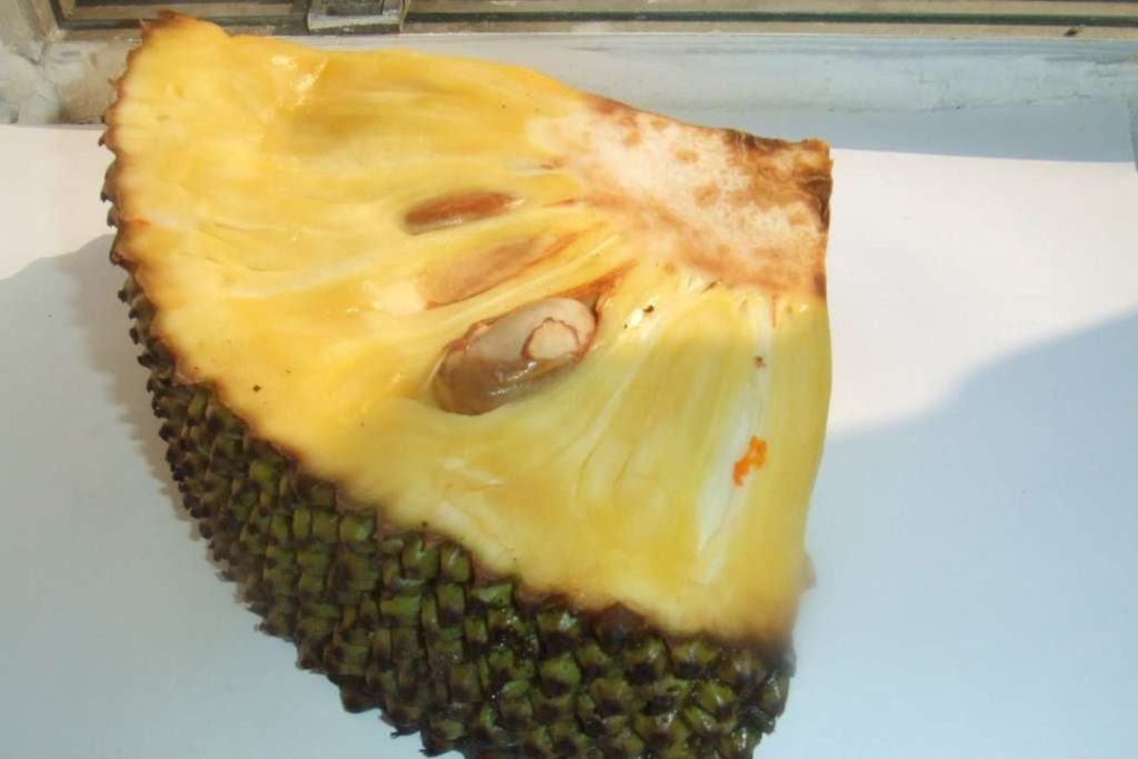 La yaca es una fruta con super propiedades y de sabor peculiar.