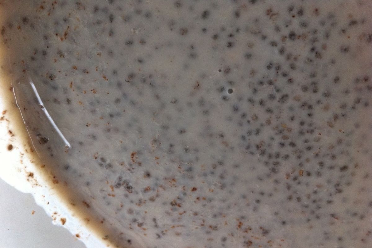 Chía hidratada en bebida vegetal. Foto de Flickr.