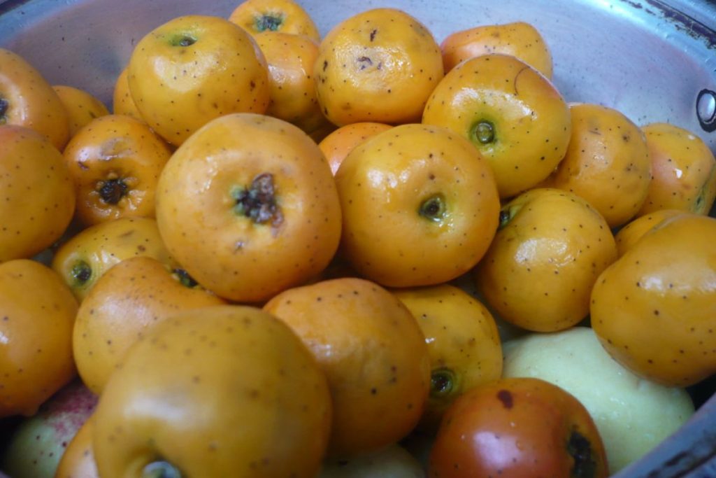 La cáscara de los tejocotes complica la degustación de esta fruta de temporada.