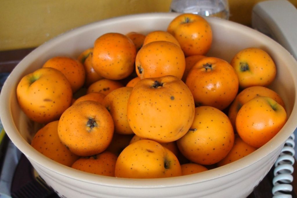 ¿Cómo retirar la cáscara de los tejocotes sin complicarte la vida?