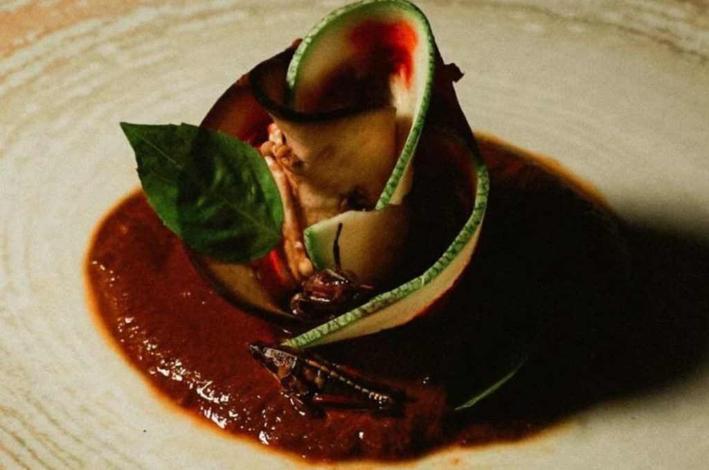 Segunda edición del FGMT (Festival gastronómico del Mole Tulum)