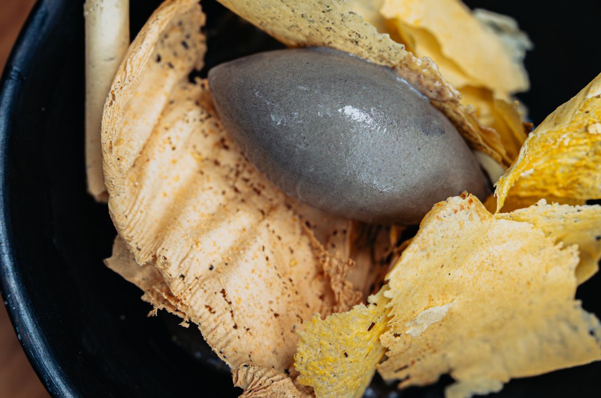 Tamal de ma+iz pibinal + cacao de Oxcutzcab + helado de huitlacoche y salsa de recado negro del chef Hinostroza, foto proporcionada por ARCA