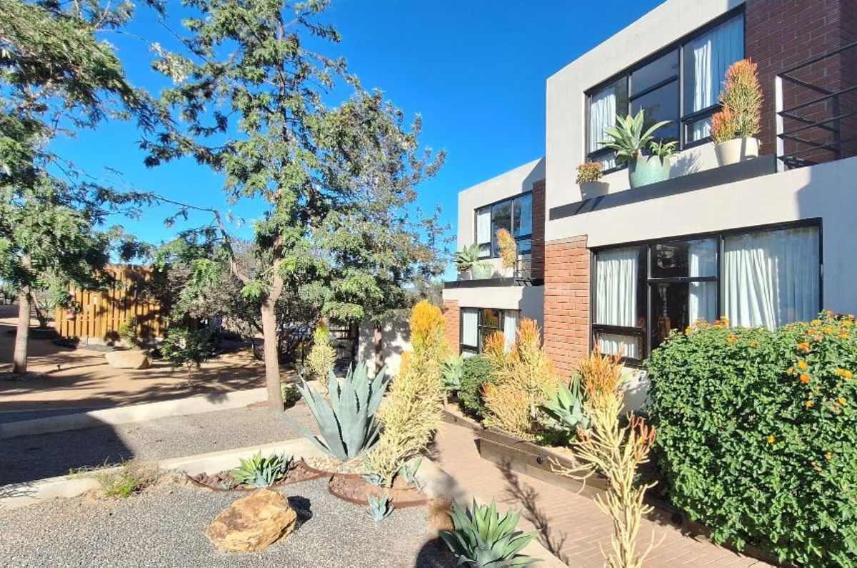 valle-de-guadalupe-18