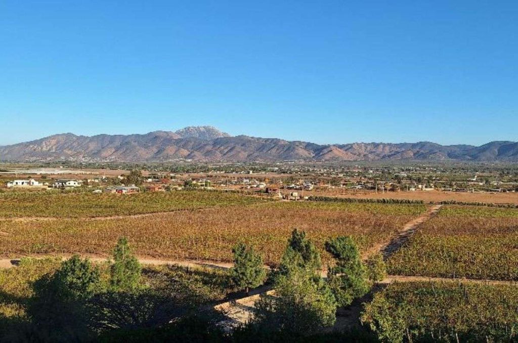 Tour de 4 días en Baja California: Tijuana, Valle de Guadalupe y Rosarito