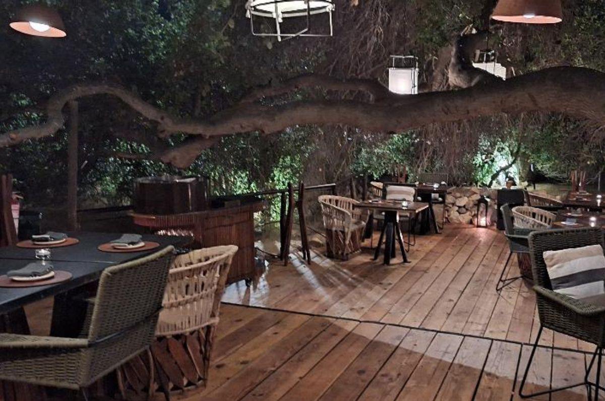 Restaurante Animalón del chef Javier Plascencia, foto de Miriam Carmo