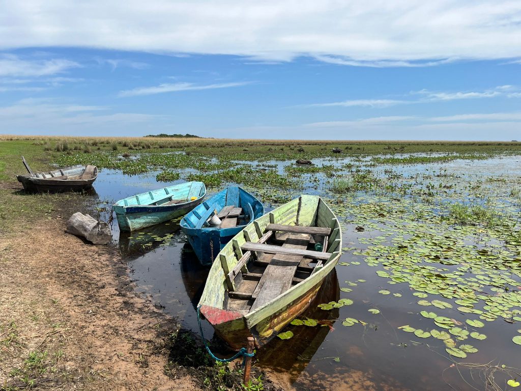 Una experiencia de ecoturismo en los Esteros del Iberá en Argentina 19