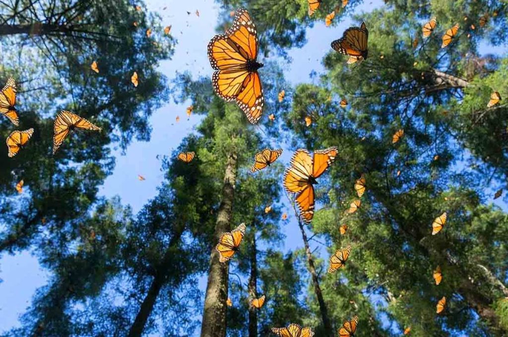 Qué hacer en Valle de Bravo: planes para vivir el destino al máximo 4