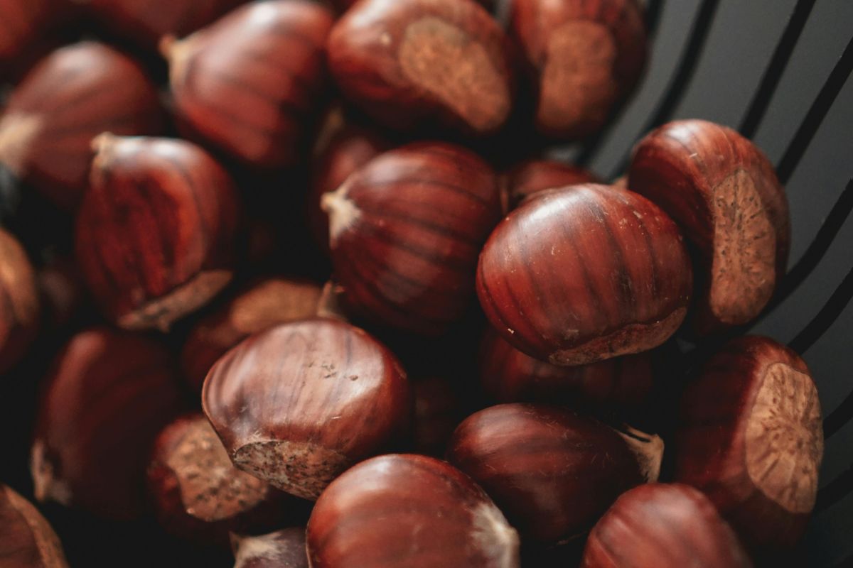 pelar-castanas-p