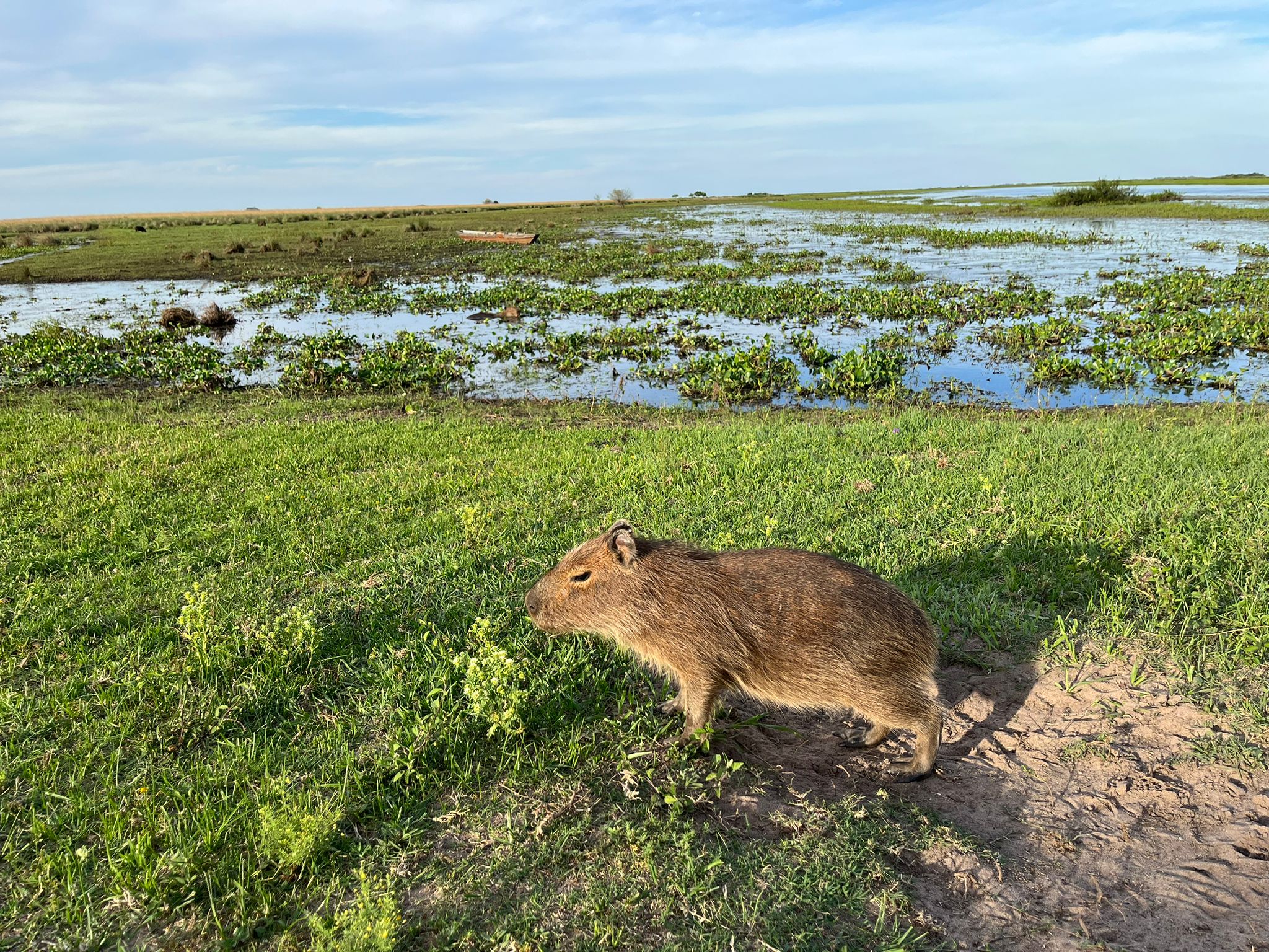 Una experiencia en San Nicolás