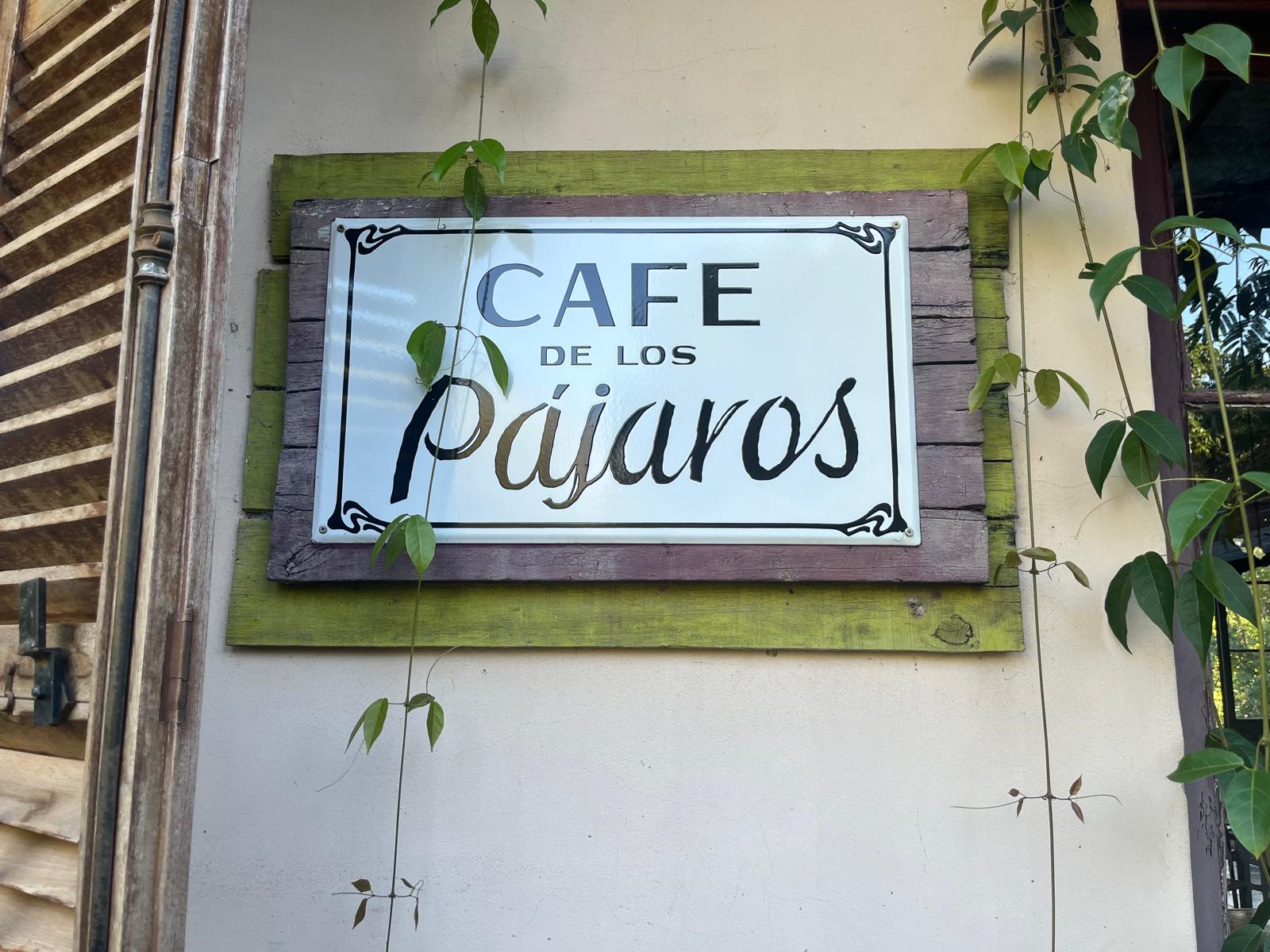 Una experiencia de ecoturismo en los Esteros del Iberá en Argentina 9