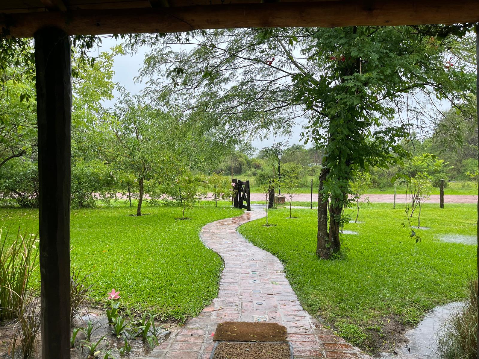 Crédito Tali Akuka - Arandu