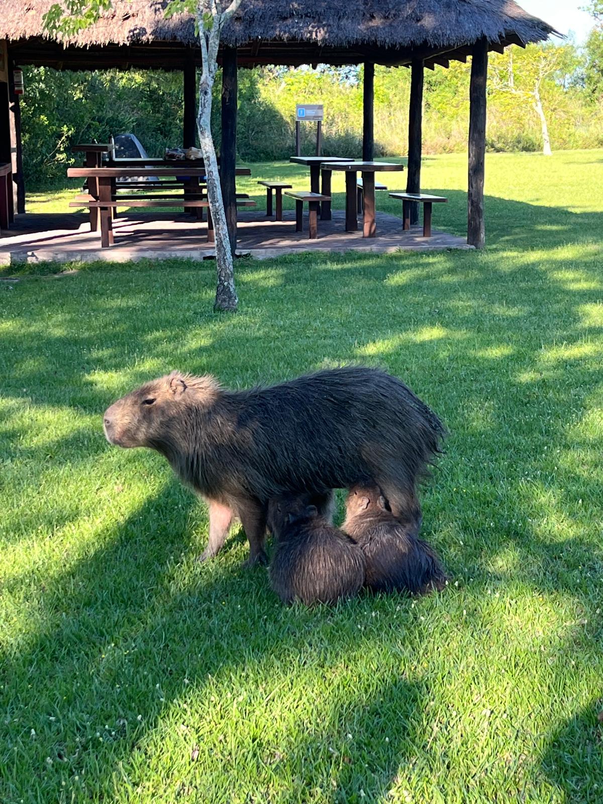 taliakukaecoturismomundo-copia