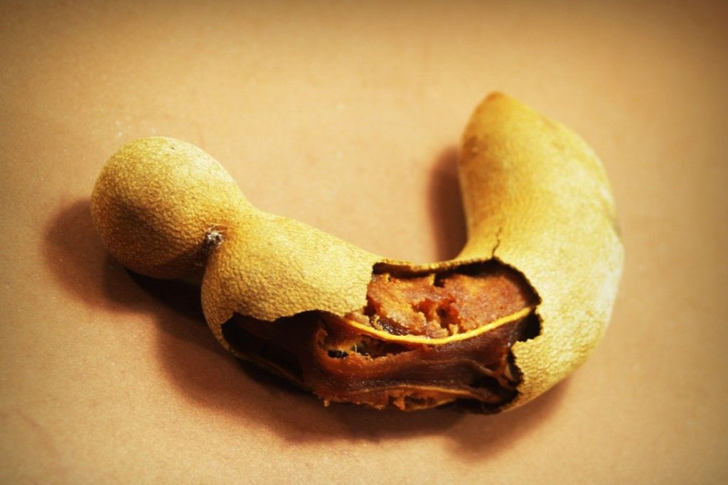 El tamarindo fresco requiere de gran cuidado para evitar que la pulpa se contamine.