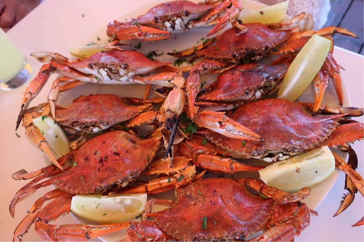 Cangrejos cocidos al vapor. Foto de Pexels.