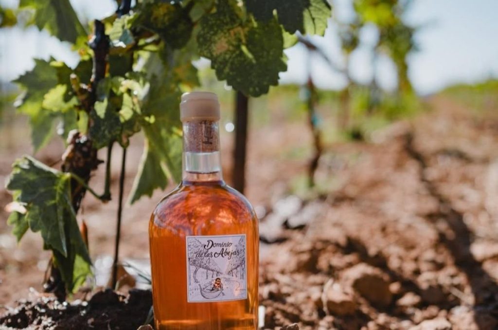 Dominio de las Abejas