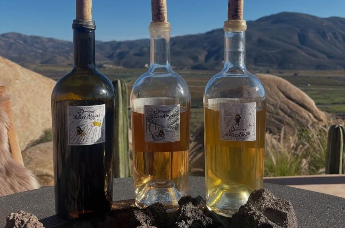 dominio-de-las-abejas-6