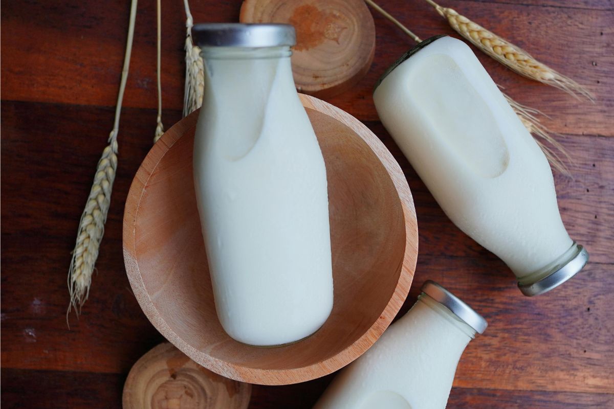 Leche almacenada en botellas de vidrio. Foto de Pexels.