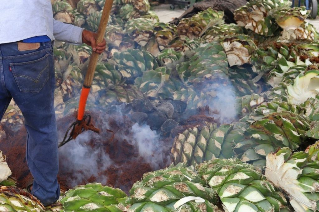 Los licores mexicanos están protegidos para prohibir su elaboración fuera del país.