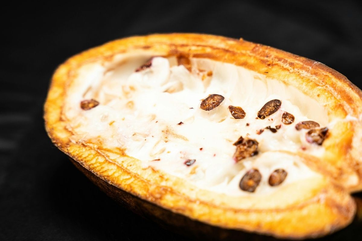 Cacao fresco. Foto de Pexels.