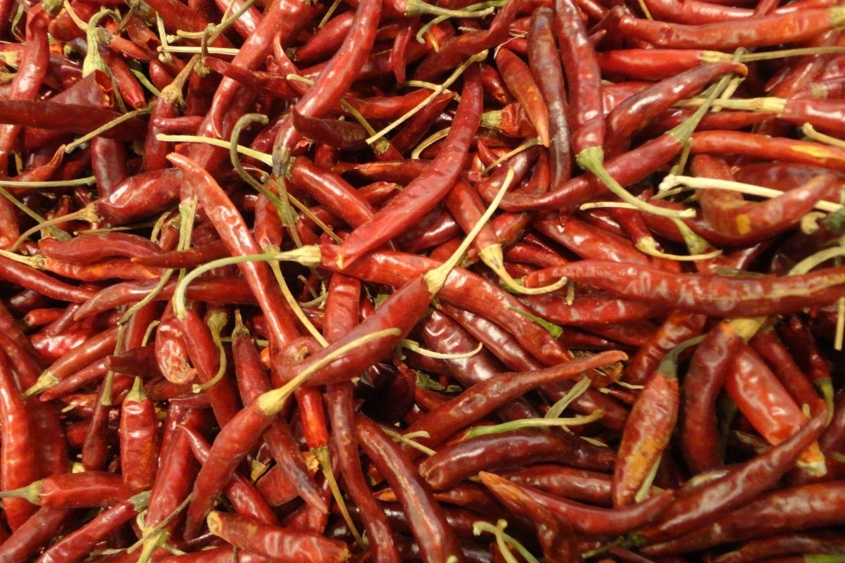 Chiles secos a granel. Foto de Flickr.
